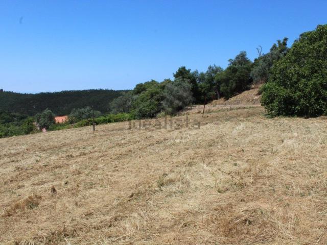 Terreno, Marmelete