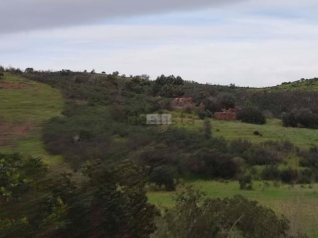 Terreno, Marmelete