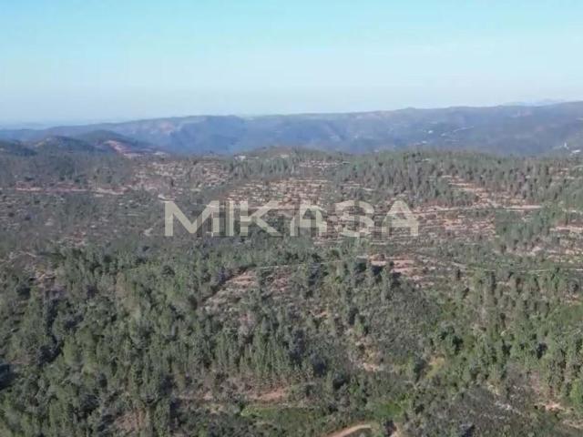 Terreno, Marmelete