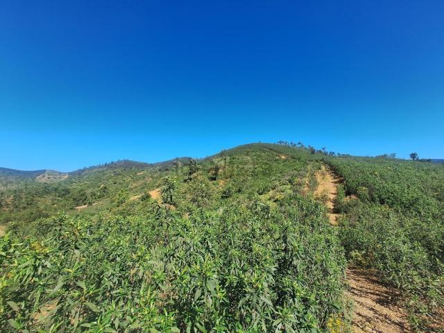 Terreno, Marmelete