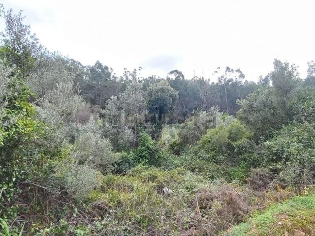 Terreno, Marmelete