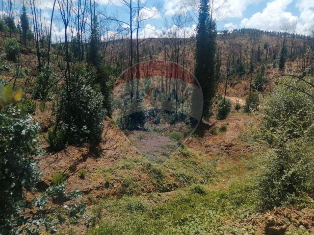 Terreno, Mexilhoeira Grande