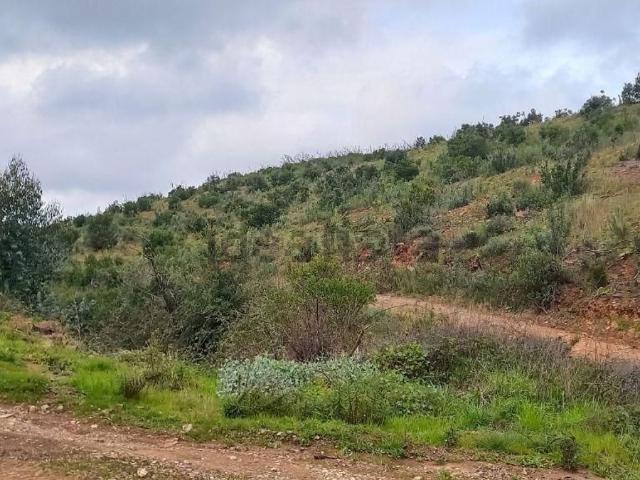 Terreno, Marmelete
