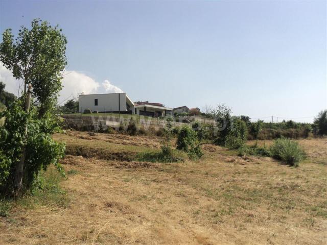 Terreno / Marco de Canaveses, Soalhães