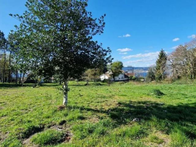 Terreno, Marin