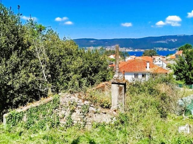 Terreno, Marin