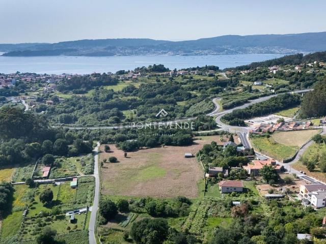 Terreno, Marin