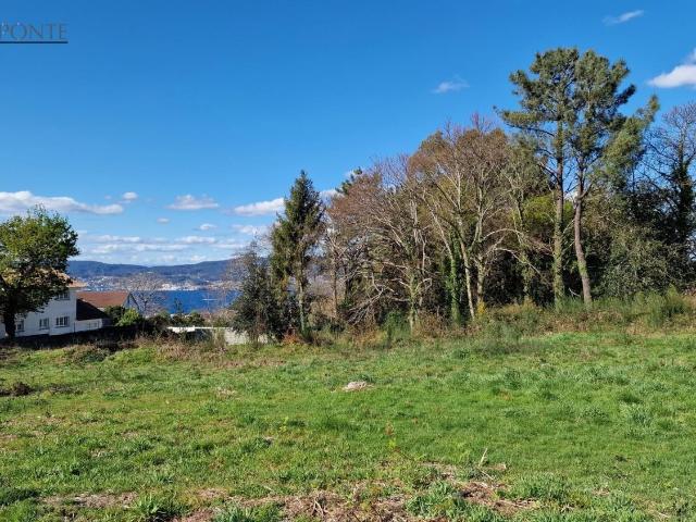 Terreno, Marin