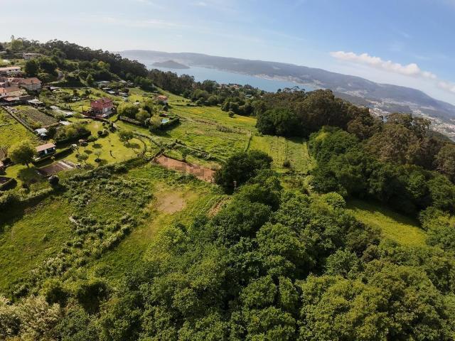 Terreno, Marin