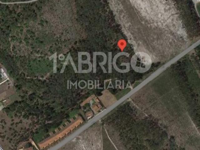 Terreno, Marinha Grande, Marinha Grande | BPI Expresso Imobiliário