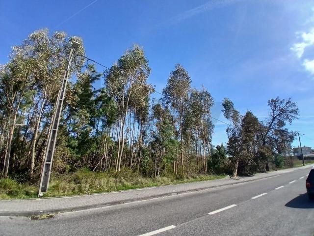 Terreno, Marinha Grande