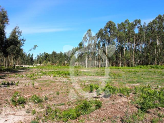 Terreno, Marinha Das Ondas, Figueira da Foz | BPI Expresso Imobiliário