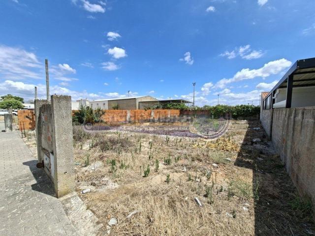 Terreno, Marinhais