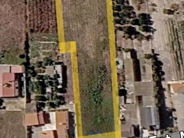 Terreno, Marinhais
