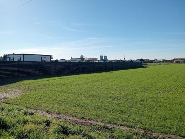 Terreno, Marinhais