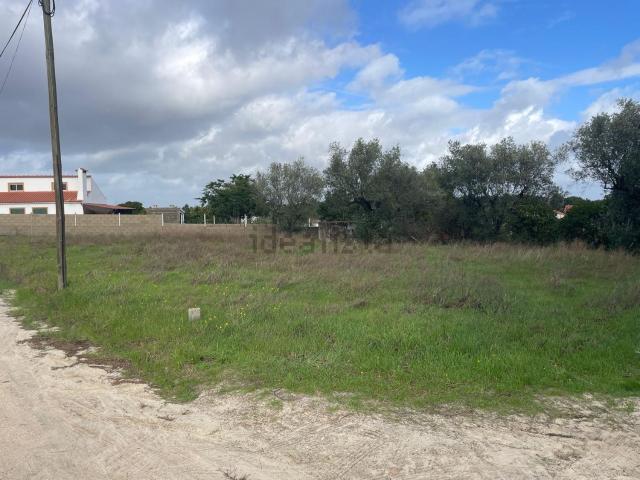 Terreno, Marinhais