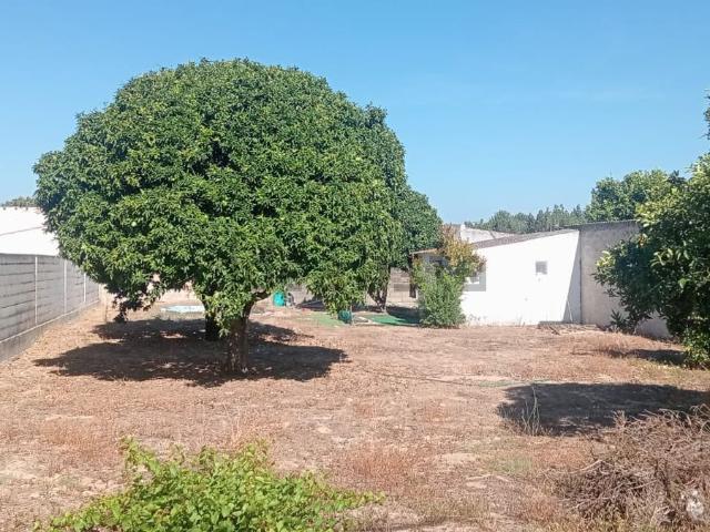 Terreno, Marinhais