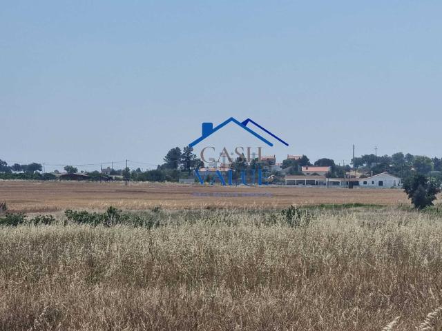 Terreno, Marinhais