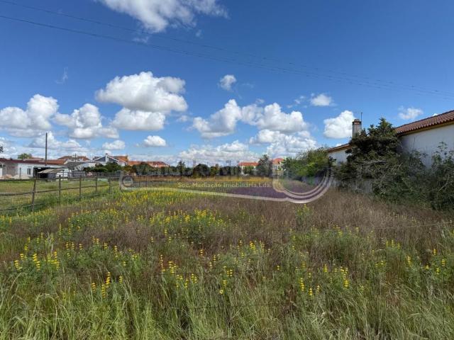 Terreno, Marinhais