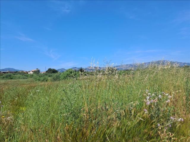 Terreno, Marratxi