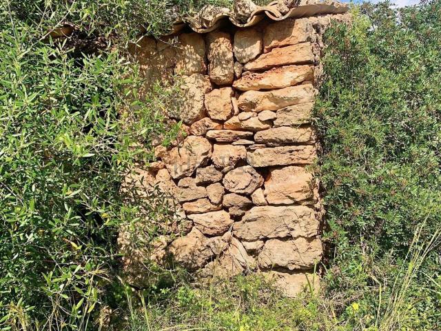 Terreno, Marratxi