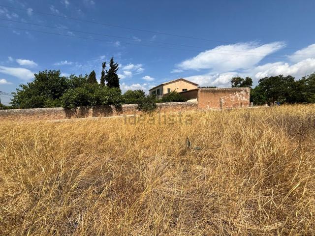 Terreno, Marratxi
