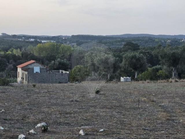 Terreno, Martinchel