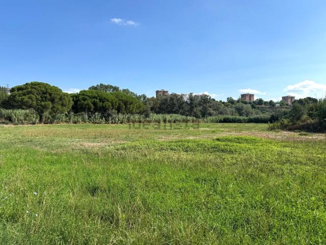 Terreno, Martorell