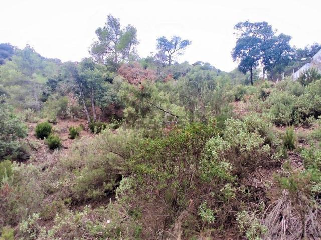 Terreno, Matadepera