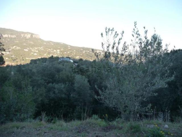 Terreno, Matadepera