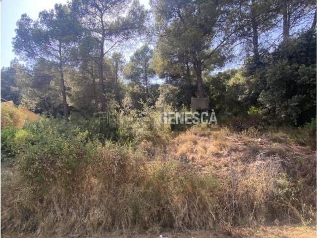 Terreno, Matadepera