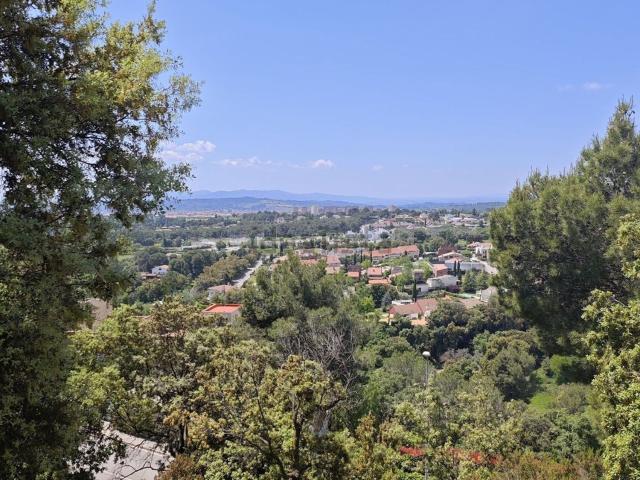 Terreno, Matadepera