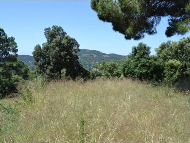 Terreno, Matadepera
