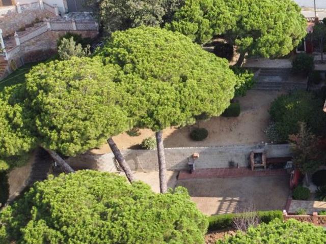 Terreno, Mataró