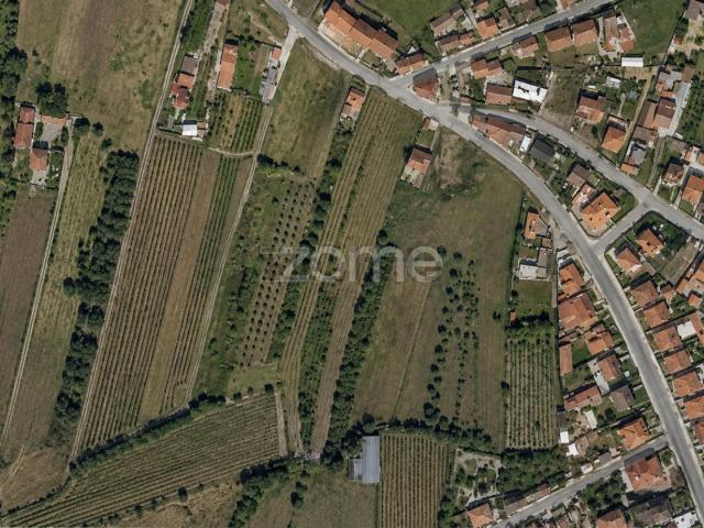 Terreno, Mealhada