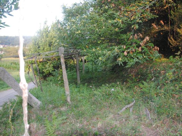 Terreno, Meaño
