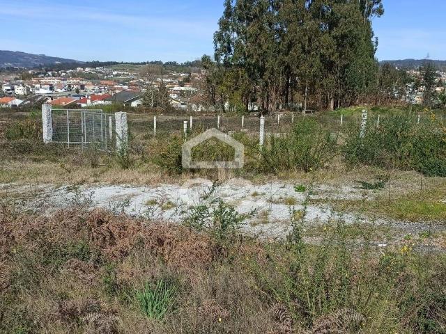 Terreno, Medelo