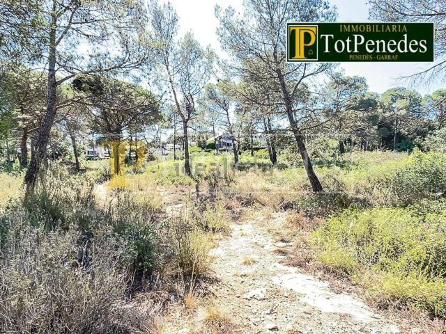 Terreno, Mediona