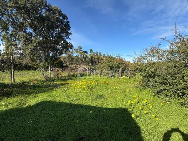 Terreno, Meia Via, Torres Novas | BPI Expresso Imobiliário