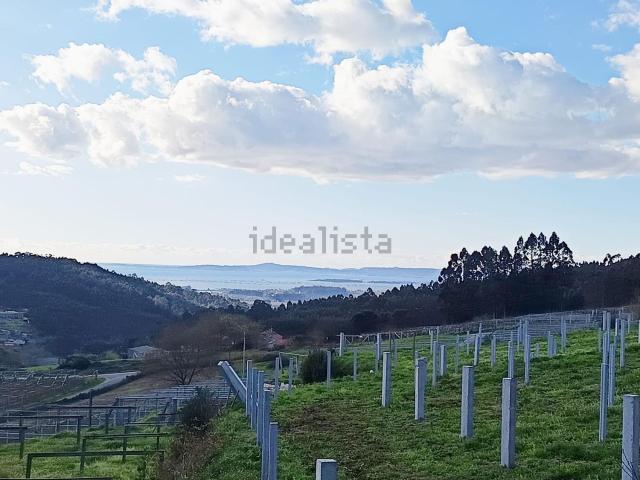 Terreno, Meis