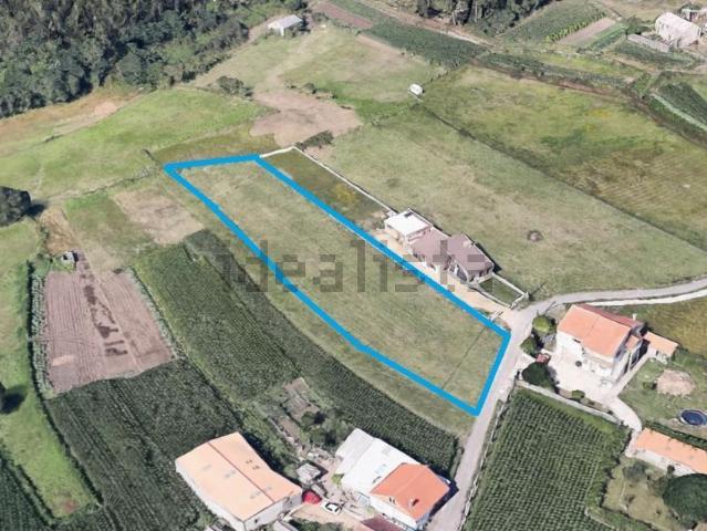 Terreno, Meis