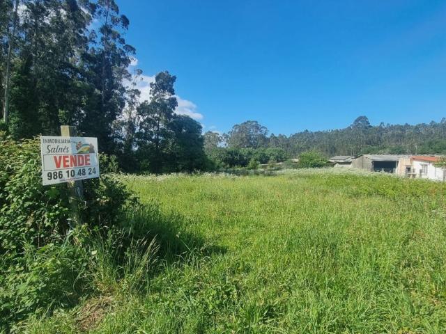 Terreno, Meis