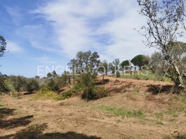 Terreno, Melides
