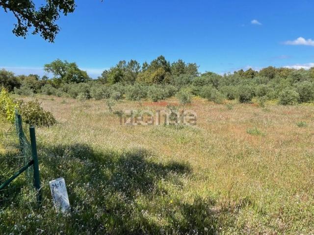 Terreno, Melides