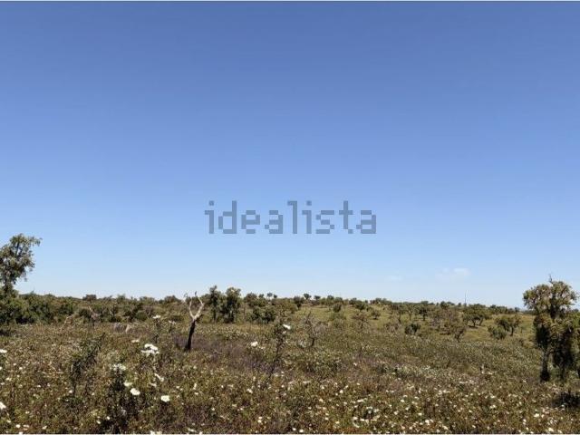 Terreno, Grândola e Santa Margarida da Serra
