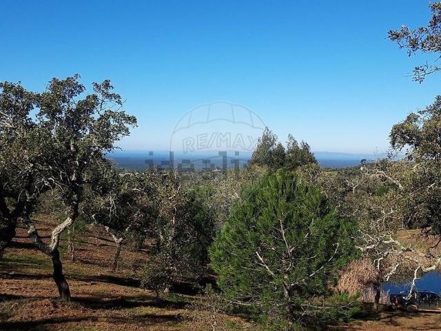 Terreno, Melides