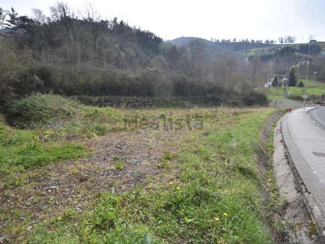 Terreno, Mendaro