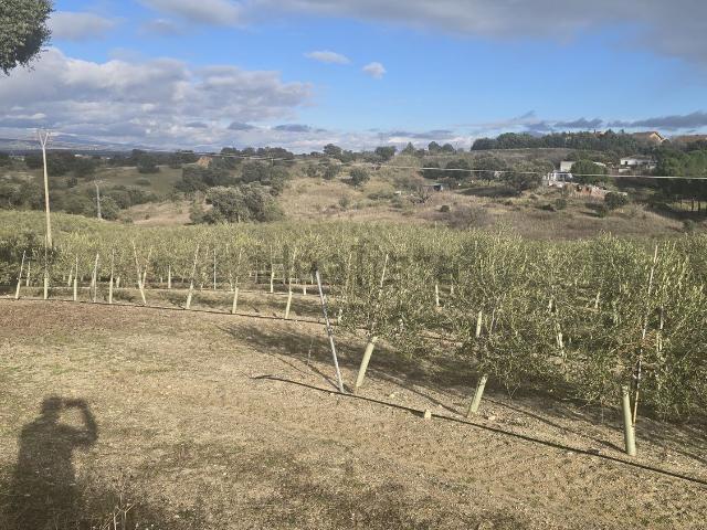 Terreno, Méntrida