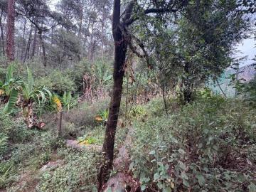 Terreno Mesa de Jaimes