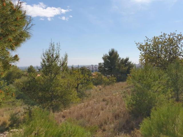 Terreno, Mestrets, Castellón de la Plana / Castello de la Plana